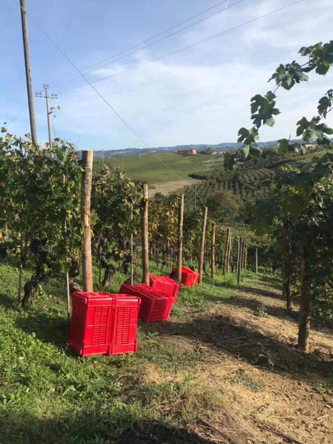 Il Grecale - Camere E Appartamenti La Morra Buitenkant foto